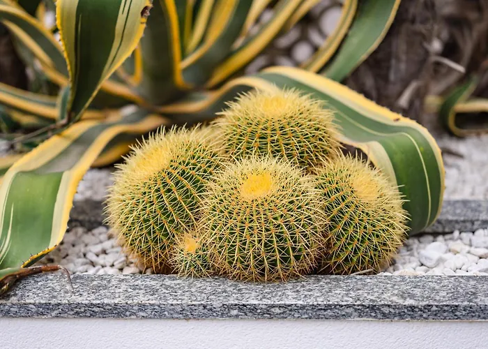 Hotel Gritti Lido di Jesolo